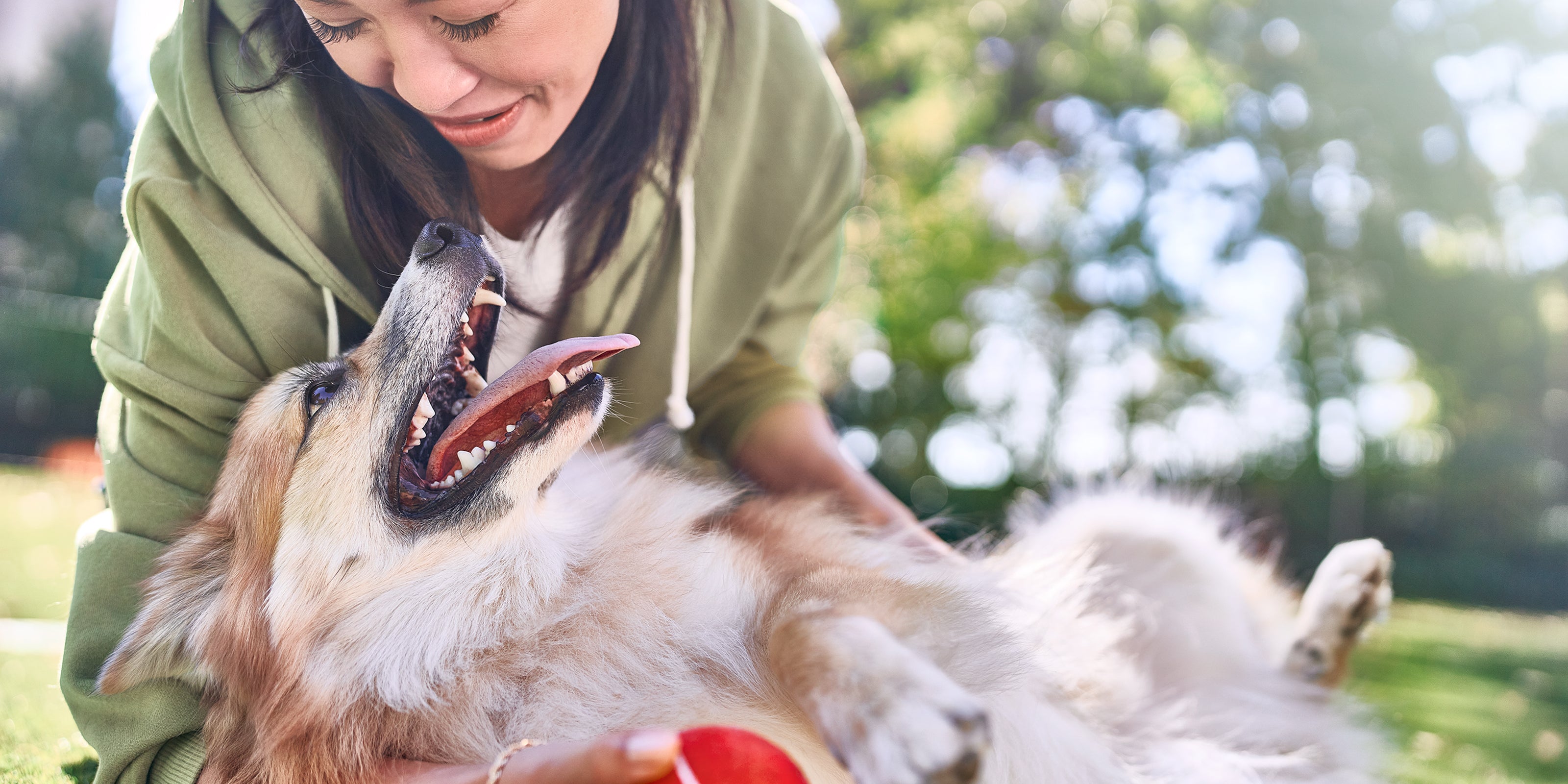 Vitamins for dogs store with dry skin