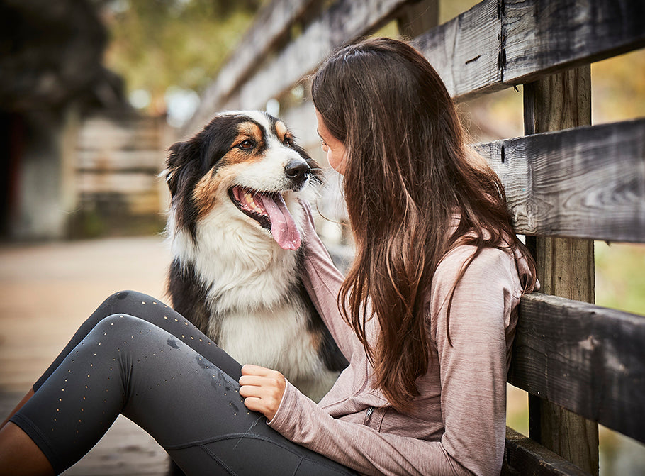 Shop Natural Heart Health Supplements for Dogs