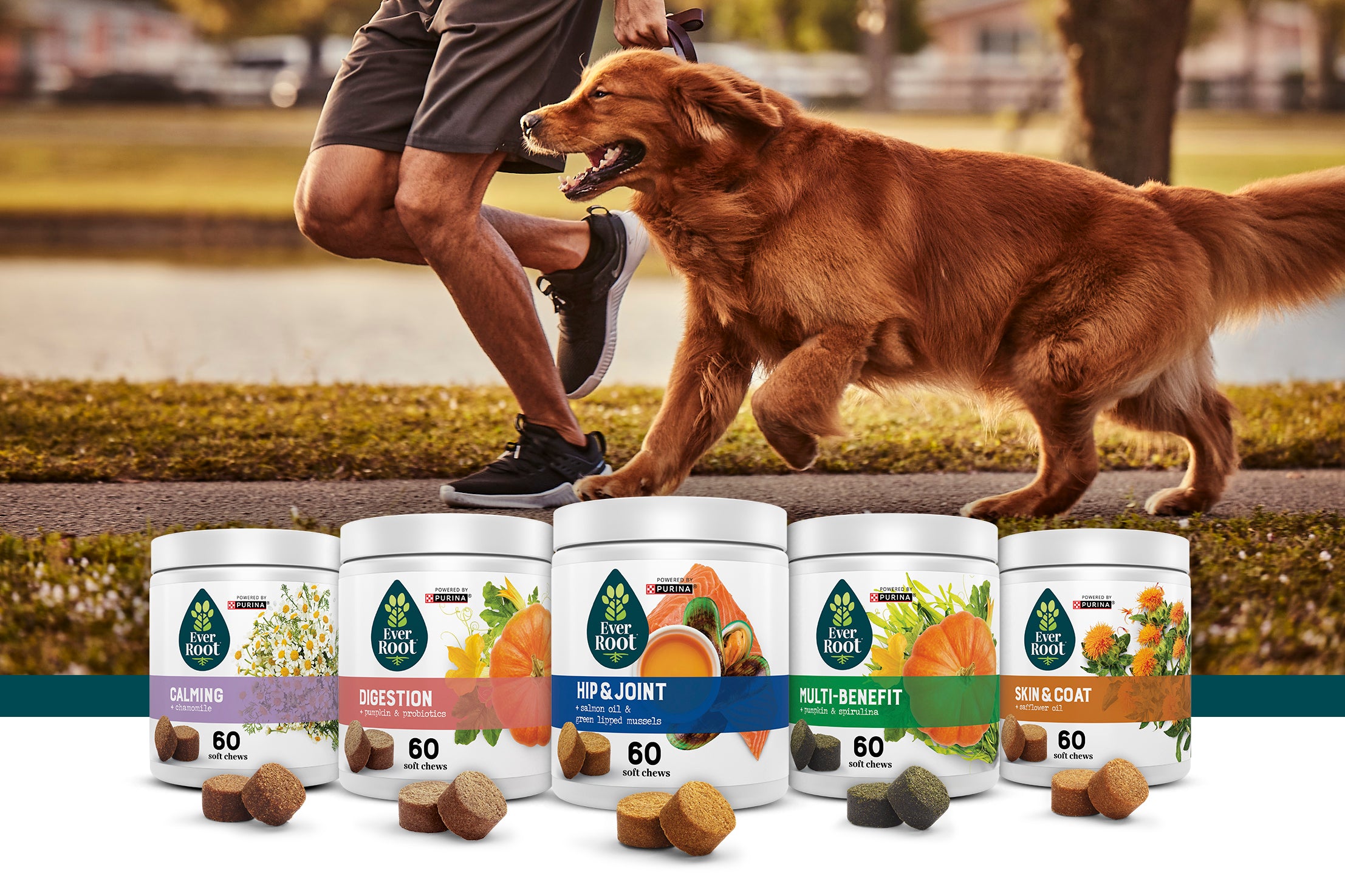 Pet nutrition outlet supplements