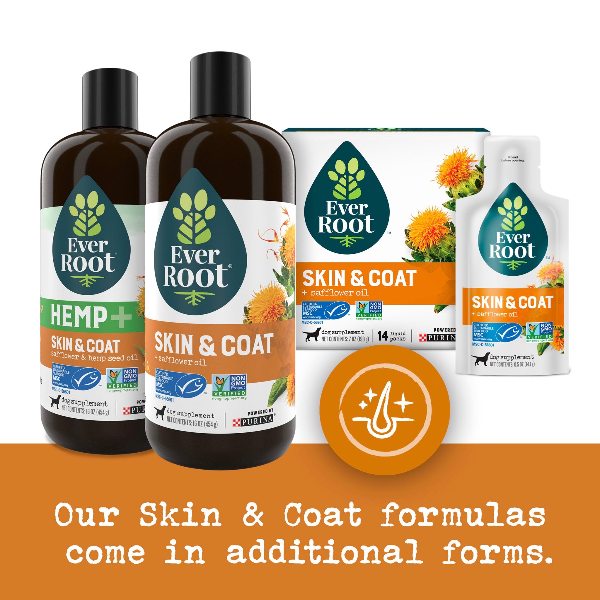 Skin and coat dog 2024 supplement